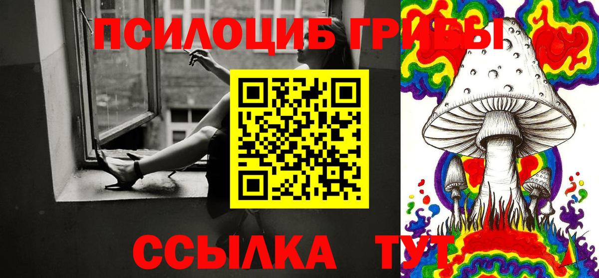 Псилоцибиновые грибы Cubensis Сосновоборск